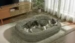 Ein Traum von Schlaf: Warum dieses orthopädische Hundebett das Beste für Ihren mittelgroßen Liebling ist